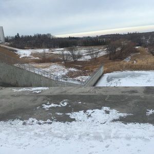 Meet your Posher, Skye